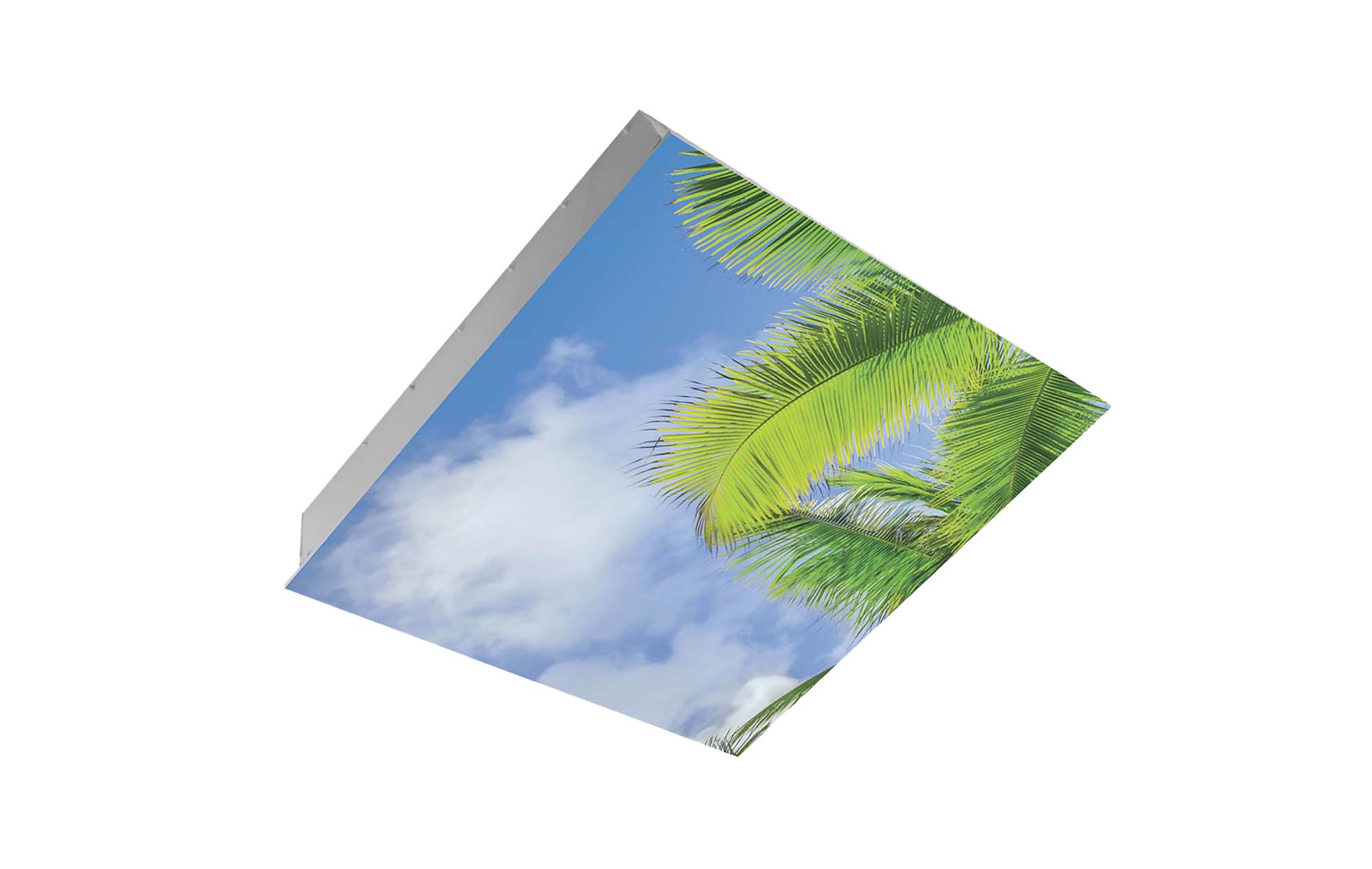 BL-Sky
